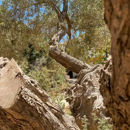 Szálloda Pelikastri