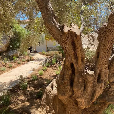 Szálloda Pelikastri